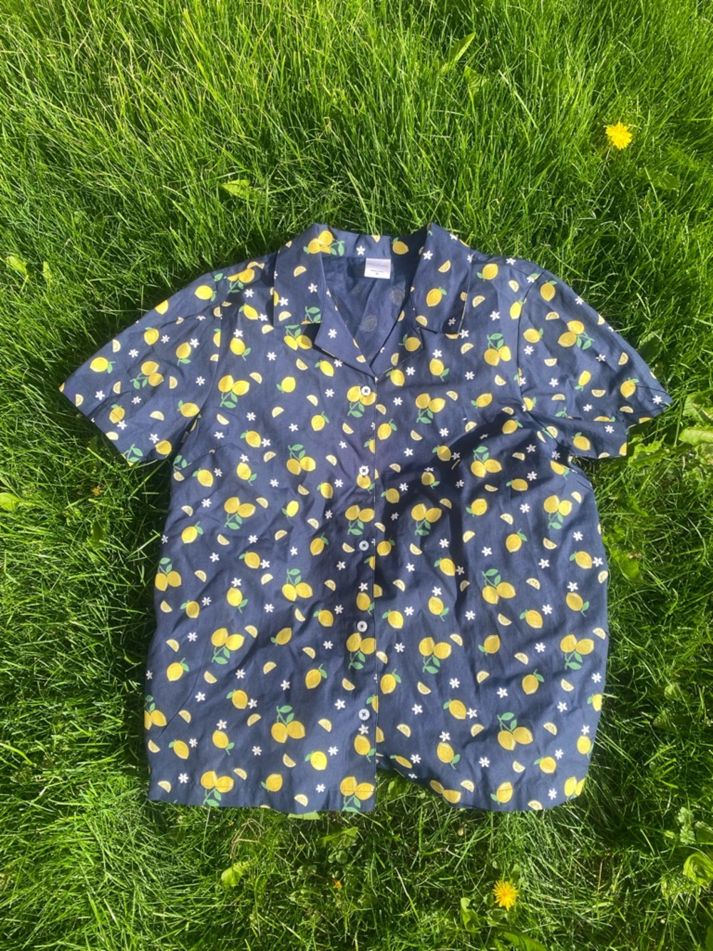 Blair Cotton Blue Lemon Short Sleeve Button Down Shirt Top Structured M